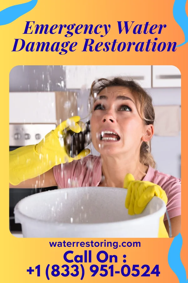 Emergency Water Damage Restoration in Martha Lake, WA