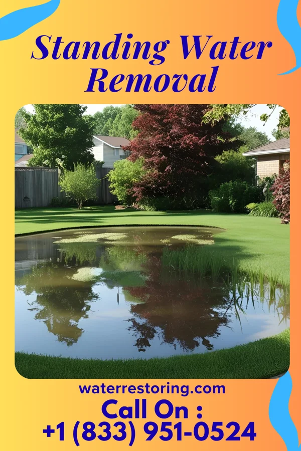 Standing Water Removal in Martha Lake, WA